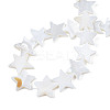 Natural Freshwater Shell Beads Strands SHEL-S278-01D-01-4