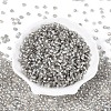 Silver Lined Glass Seed Beads SEED-T007-18A-02-2