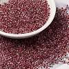 6/0 Transparent Glass Seed Beads SEED-F003-03A-03-1