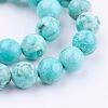 Natural Howlite Bead Strands G-E374-01-8mm-1