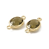 Transparent K9 Glass Connector Charms GLAA-A005-10G-08-2