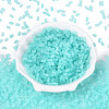 FGB Frosted Transparent Glass Seed Beads SEED-N013-05A-10-2