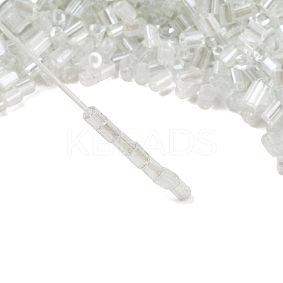 Two Cut Glass Seed Beads X-CSDB101-1