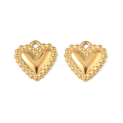 304 Stainless Steel Charms STAS-P396-06G-1