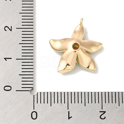 Brass Enamel Pendants KK-S368-13G-01-1