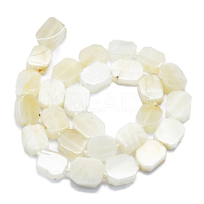 Natural White Moonstone Beads Strands G-K245-K01-01-1