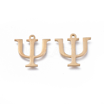304 Stainless Steel Charms STAS-K215-11G-1
