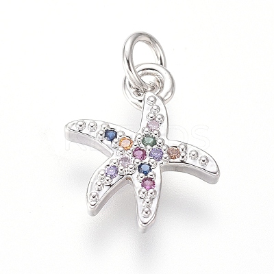 Brass Micro Pave Cubic Zirconia Charms ZIRC-I032-54P-1