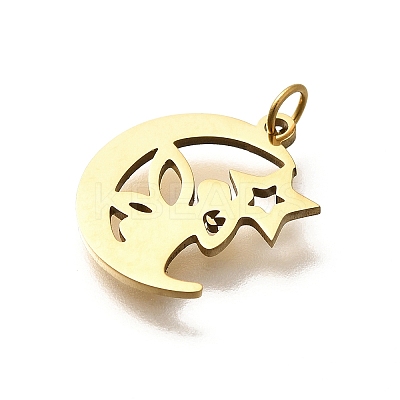 304 Stainless Steel Pendants STAS-R153-33G-1