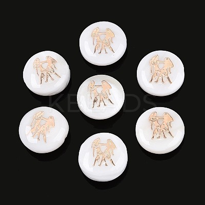 Natural Freshwater Shell Beads SHEL-N037-02G-G-1
