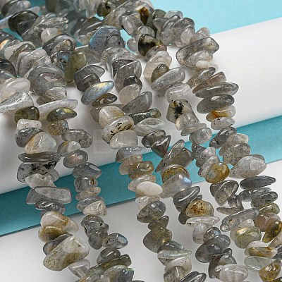 Natural Labradorite Chip Bead Strands G-M205-13-1