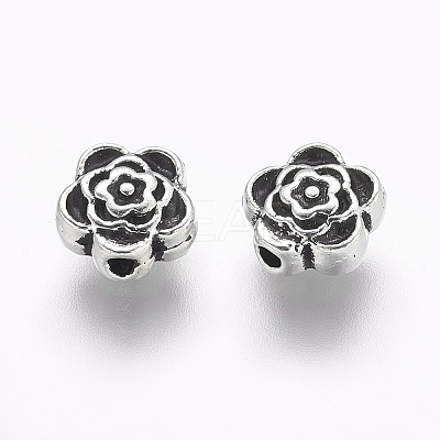 Tibetan Style Alloy Beads LS-LF0590Y-NF-1