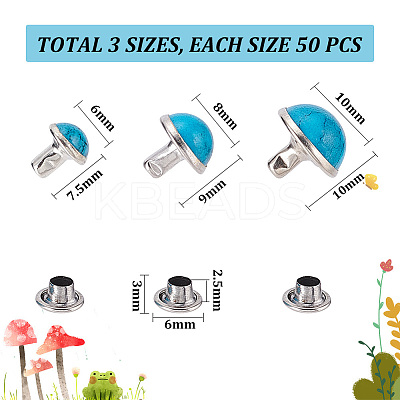 150 Sets 3 Style Plastic Imitation Turquoise Garment Rivets FIND-WR0007-54-1