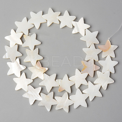 Natural Freshwater Shell Beads Strands SHEL-N026-72-1