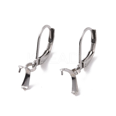 Tarnish Resistant 304 Stainless Steel Leverback Earring Findings X-STAS-G283-01P-1