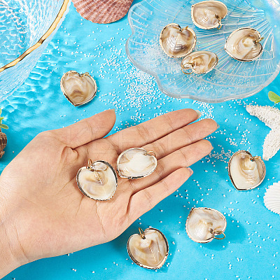 10Pcs Natural Shell Pendants PALLOY-TAC0204-1