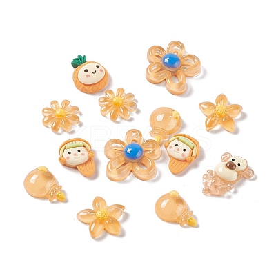 Translucent & Opaque Resin Cabochons RESI-G041-A01-1