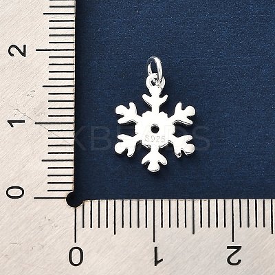 925 Sterling Silver Pendants LS-FIND-Z069-04S-B-1