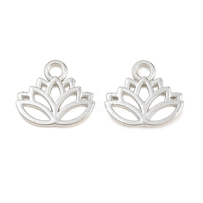 Tibetan Style Alloy Charms TIBEP-36884-P-RS-1