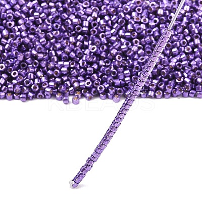 MIYUKI Delica Beads LS-X-SEED-J020-DB2509-1