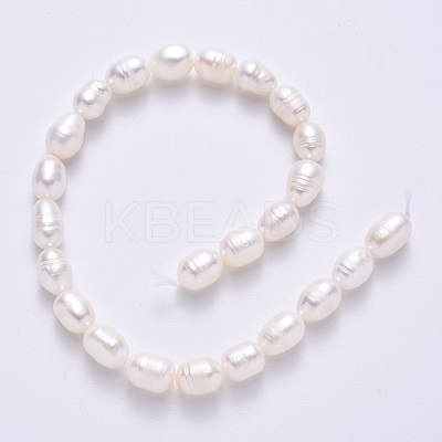 Natural Cultured Freshwater Pearl Beads Strands X-PEAR-S012-41C-1