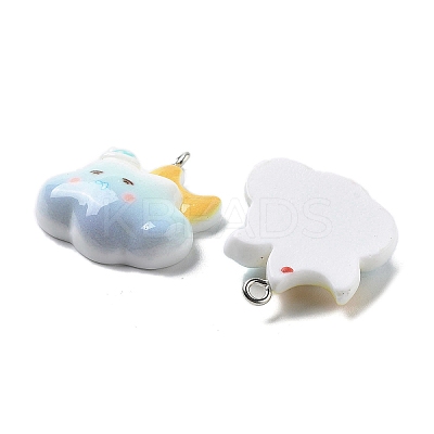 Weather Theme Opaque Resin Pendants RESI-R444-01C-1