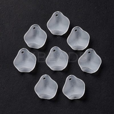 Frosted Acrylic Pendants OACR-G014-02-1