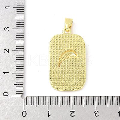 Brass Enamel Pendants KK-Z101-05G-01-1