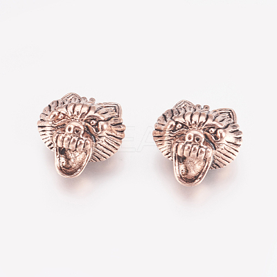 Tibetan Style Alloy Beads TIBEB-L002-06ARG-1