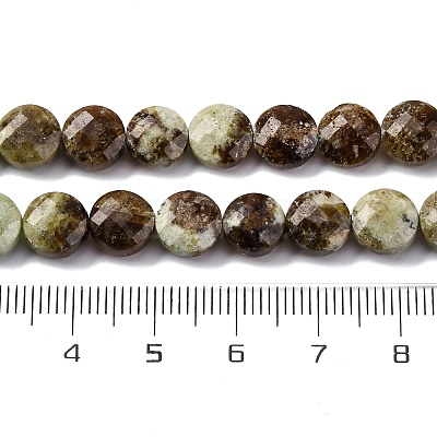 Natural Green Garnet Beads Strands G-C179-A32-03-1