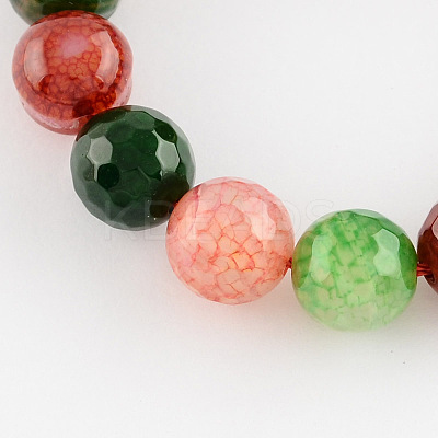 Colored Natural Dyed & Heated Multi-Color Agate Beads Strands G-R177-8mm-04-1