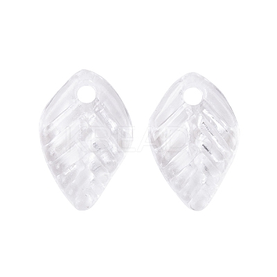 Transparent Acrylic Charms TACR-G050-02D-1
