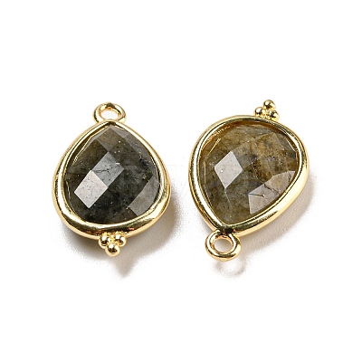 Natural Labradorite Faceted Pendants G-M431-15G-04-1