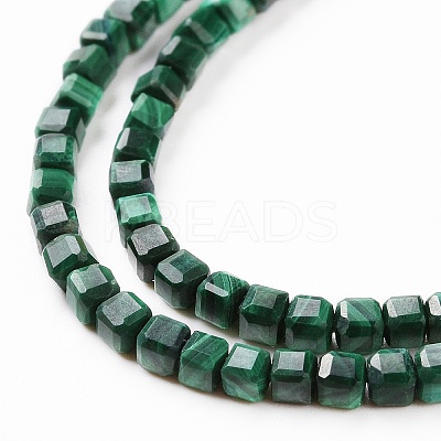 Natural Malachite Beads Strands G-C009-B24-1