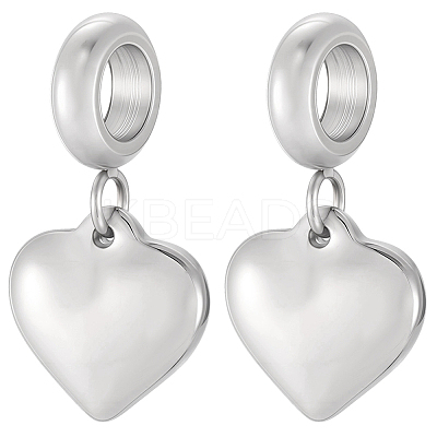 5Pcs 304 Stainless Steel European Dangle Charms STAS-BBC0007-89-1