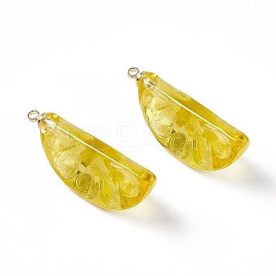 Transparent Resin Pendants LS-RESI-P020-01P-1