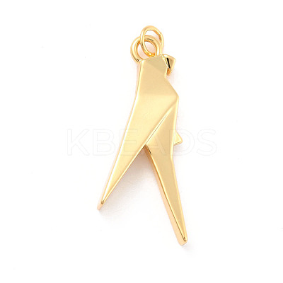 Rack Plating Brass Pendants KK-B052-12G-1