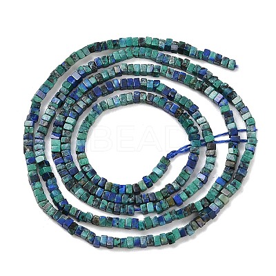 Natural Chrysocolla and Lapis Lazuli Beads Strands G-K399-B08-01-1