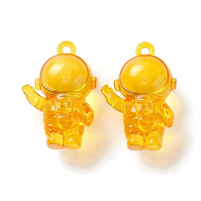 Transparent Acrylic Pendants X-TACR-K002-06-1