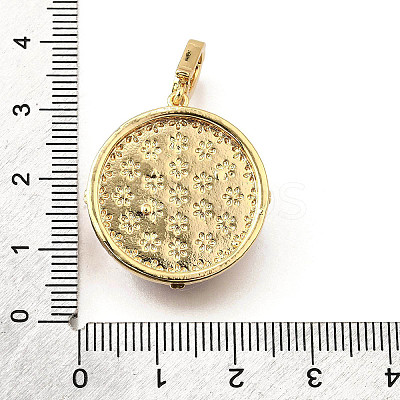 Brass Micro Pave Cubic Zirconia & Enamel Pendants KK-R222-14G-02-1