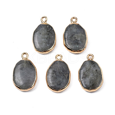 Natural Labradorite Pendants G-N326-130-05-1