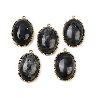 Natural Labradorite Pendants STAS-F322-15G-06-1