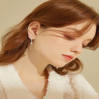 4 Pairs 4 Styles Alloy Leverback Earrings for Women EJEW-LP0007-117-1