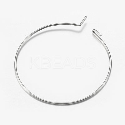 316 Surgical Stainless Steel Hoop Earrings Findings STAS-F149-32P-A-1