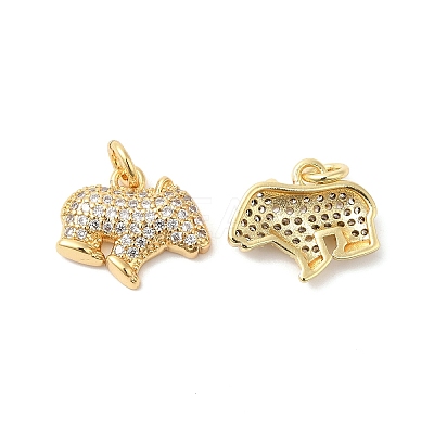 Brass Micro Pave Clear Cubic Zirconia Pendants ZIRC-L103-039G-1