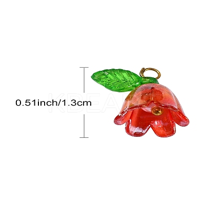 Acrylic Pendant PALLOY-YW027-01-1