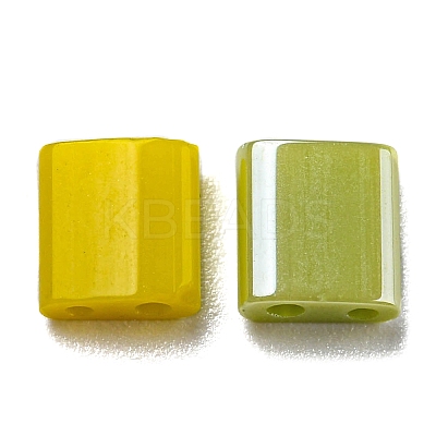 2-Hole Glass Seed Beads SEED-XCP0001-13-1