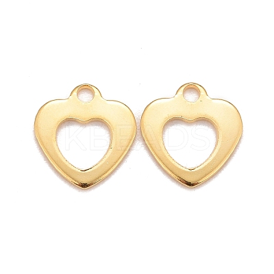 201 Stainless Steel Charms LS-STAS-K217-50C-G-1
