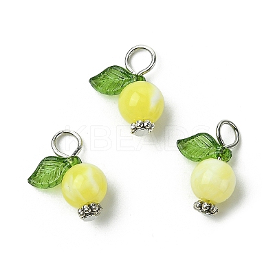 Acrylic Pendants PALLOY-JF02614-01-1