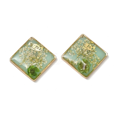 Plating Brass & Transparent Epoxy Resin & Dried Flower Pendants RE-CBAA153-05A-1